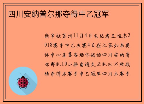 四川安纳普尔那夺得中乙冠军